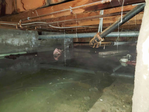 Best Professional water damage repair  in Laurence Harbor, NJ