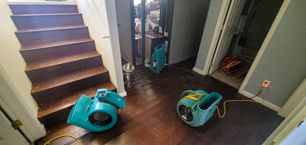 Best Water damage restoration mold remediation  in Laurence Harbor, NJ