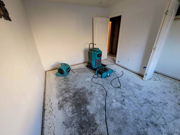 Best 24/7 water damage repair  in Laurence Harbor, NJ
