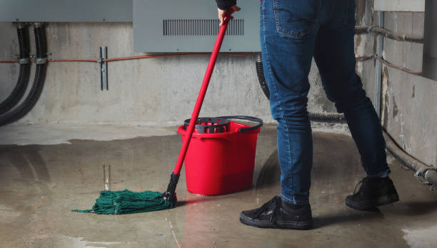 Best Flood restoration services  in Laurence Harbor, NJ