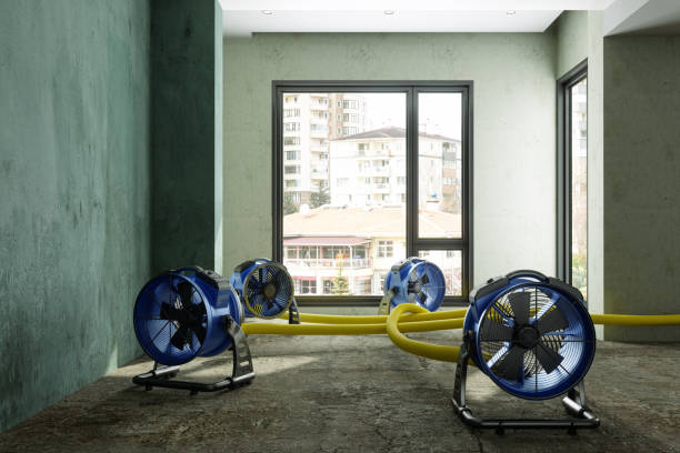 Best Mold removal after water damage  in Laurence Harbor, NJ